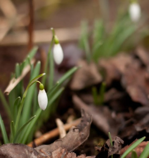 Личное фото