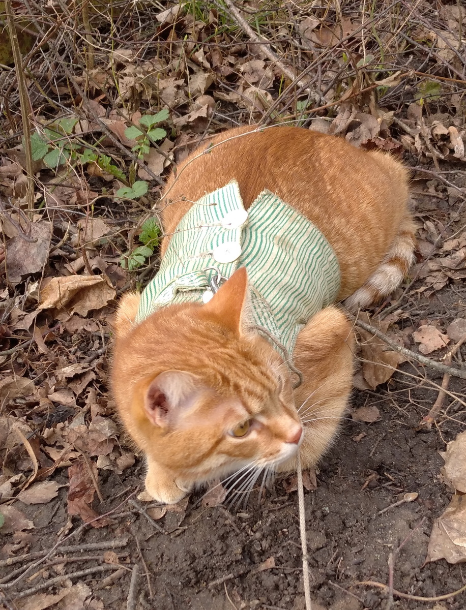  личное  фото