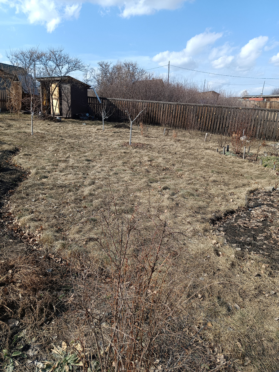 Вид после стаявшего снега