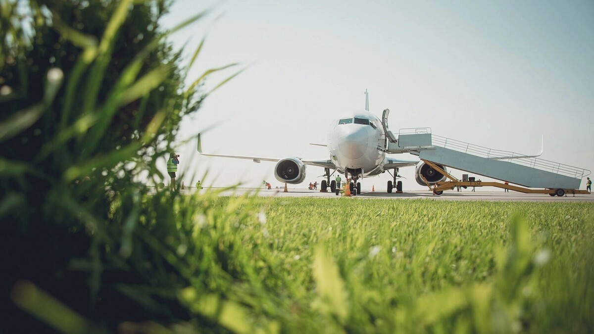     Источник: 1MI