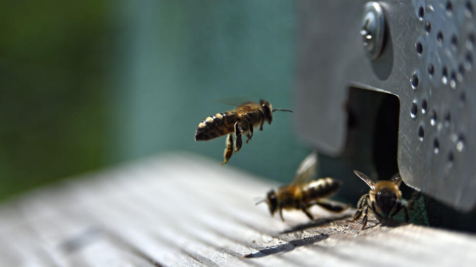 Фото: Алексей Мальгавко / Коммерсантъ