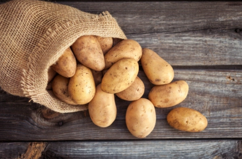 Фото: Shutterstock