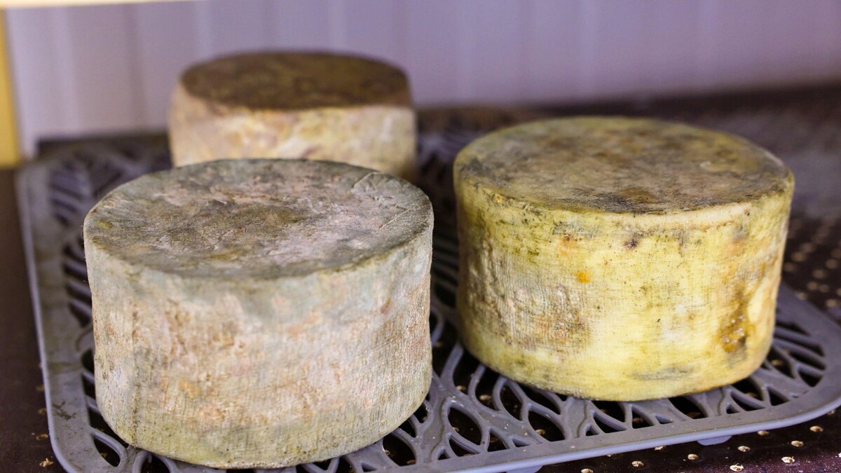    Фото: Андрей Ткачев/«Ямал-Медиа»