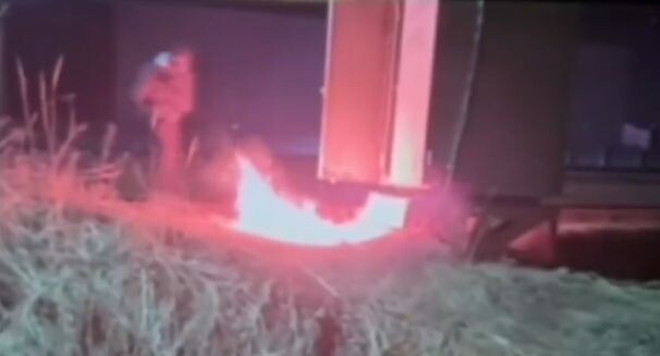    Пресс-служба МВД