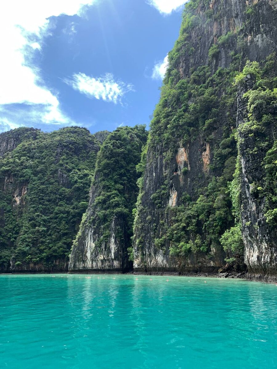 Кристина Тарасова