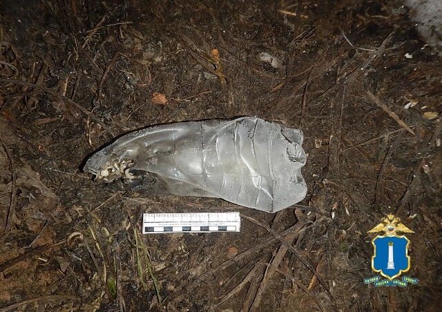    Фото: УМВД по Ульяновской области