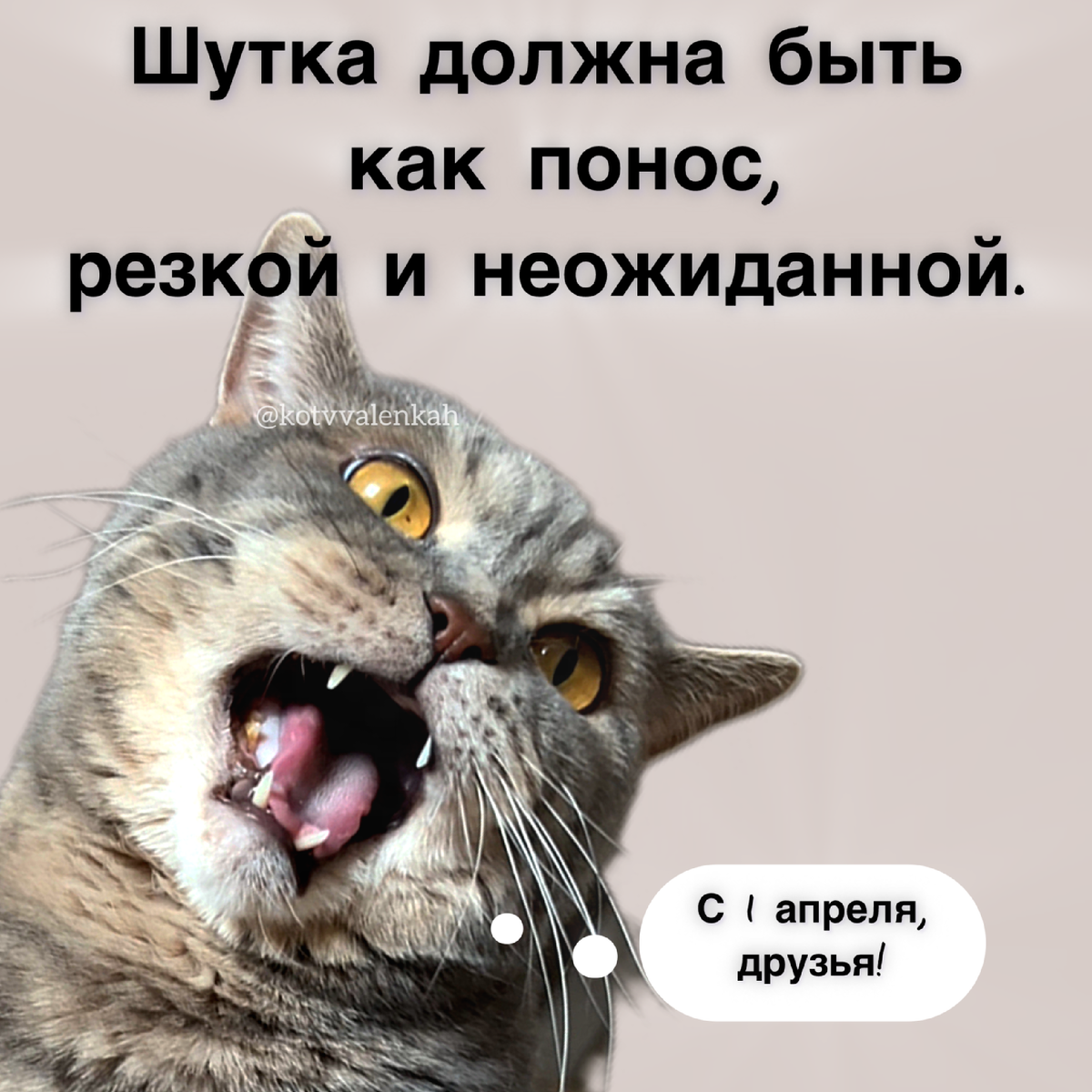 Порадуй меня. 28 ударов ножом текст. Теребонька. 28 ударов ножом ты действовал наверняка да. Теребонька мем.