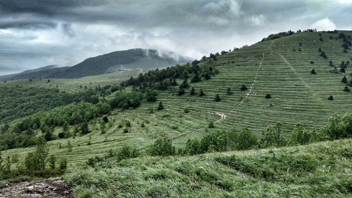 Краснодарский край расположен на Юге России и славится своим заповедным природным богатством. Здесь можно найти уникальные экосистемы, разнообразные виды флоры и фауны, а также живописные ландшафты. Это делает регион идеальным местом для проведения экотуристических мероприятий.Одним из самых известных заповедников в Краснодарском крае является Таманский. Он расположен на Таманском полуострове, который является уникальным природным культурным наследием. Здесь произрастает множество редких растений и обитает множество видов животных, включая белых аистов и черношейных пеликанов.Еще одним интересным местом для посещения является Кавказский заповедник. Он расположен в горах и представляет собой огромную территорию с разнообразными ландшафтами. Здесь можно встретить высокогорные озера, живописные ущелья, ледниковые поля и красивые водопады.Парк «Кавказский» также является популярным местом для проведения экотуристических мероприятий. Он расположен на восточных отрогах Главного Кавказского Хребта и представляет собой досуговый парк с разнообразными аттракционами и развлечениями.Все эти заповедники и парки предлагают посетителям возможность насладиться природной красотой региона, увидеть уникальные животные и растения, а также познакомиться с местными традициями и обычаями. Экотуризм в Краснодарском крае представляет собой отличную возможность для всех любителей природы и активного отдыха.