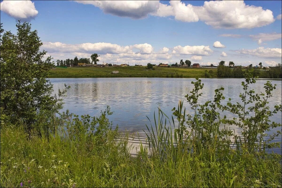 Взято на просторах интернета