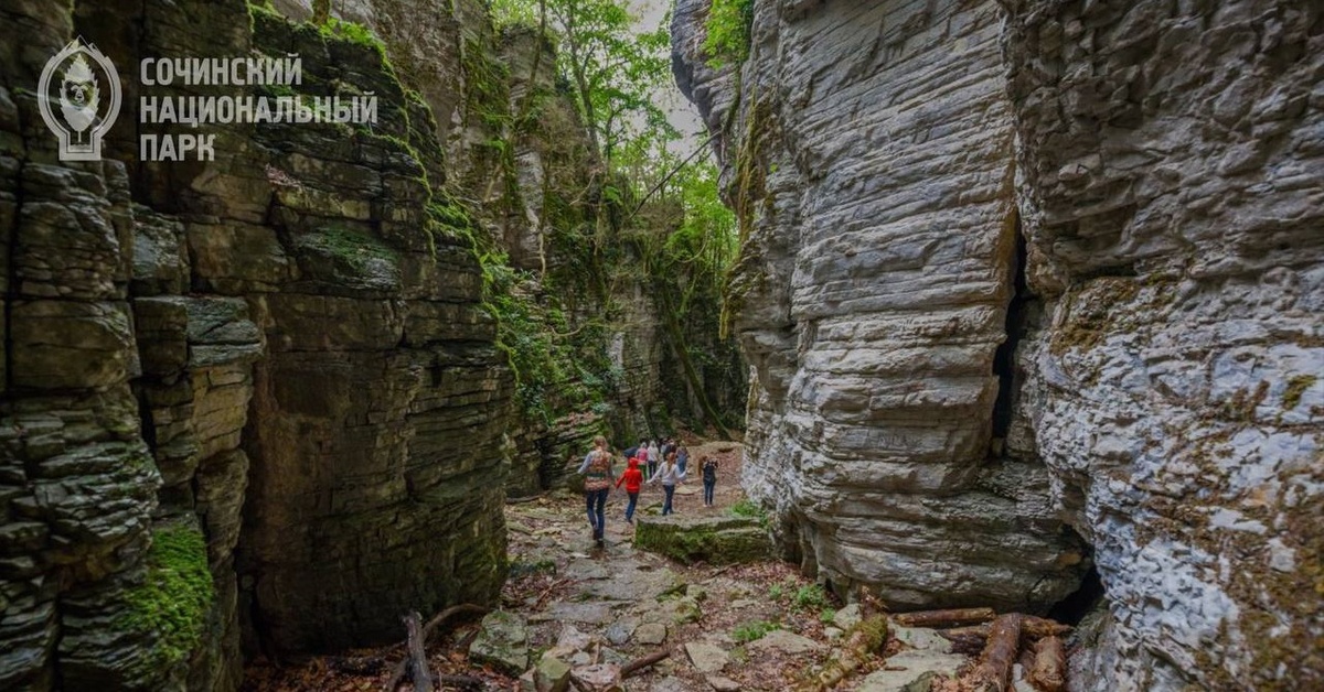   Фото: Сочинский национальный парк