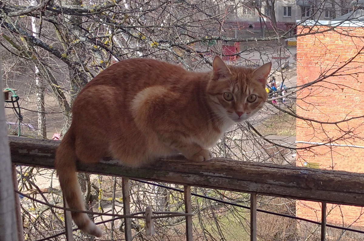 Личное фото