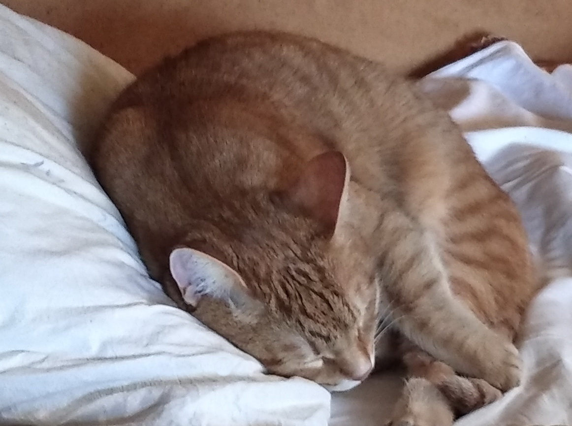 Личное фото