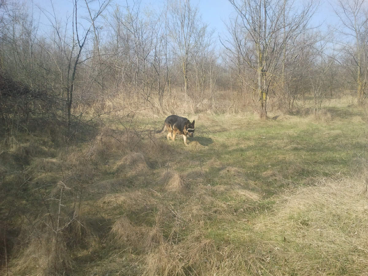 Фото автора