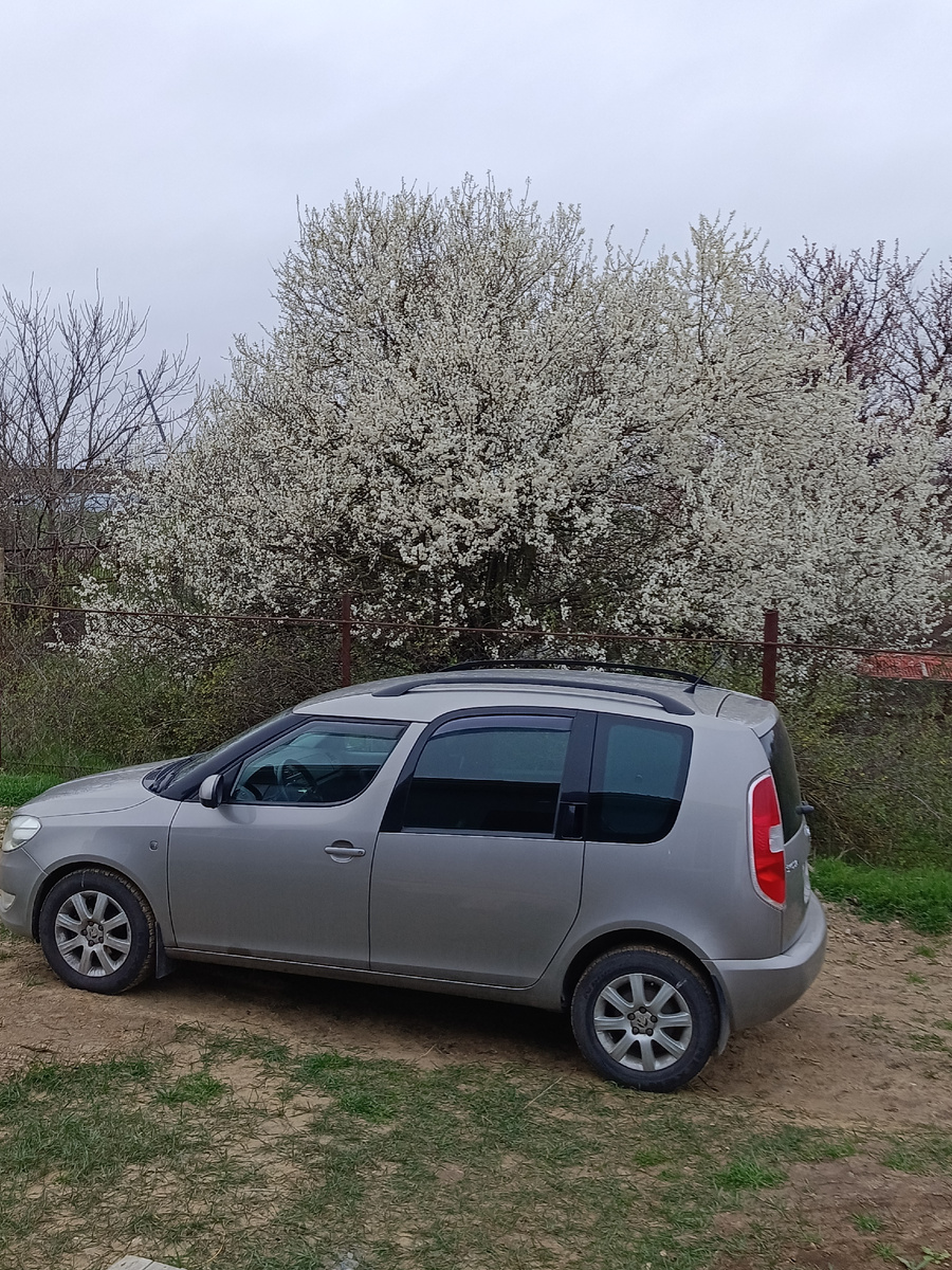 Это и все остальные фото автора канала. 