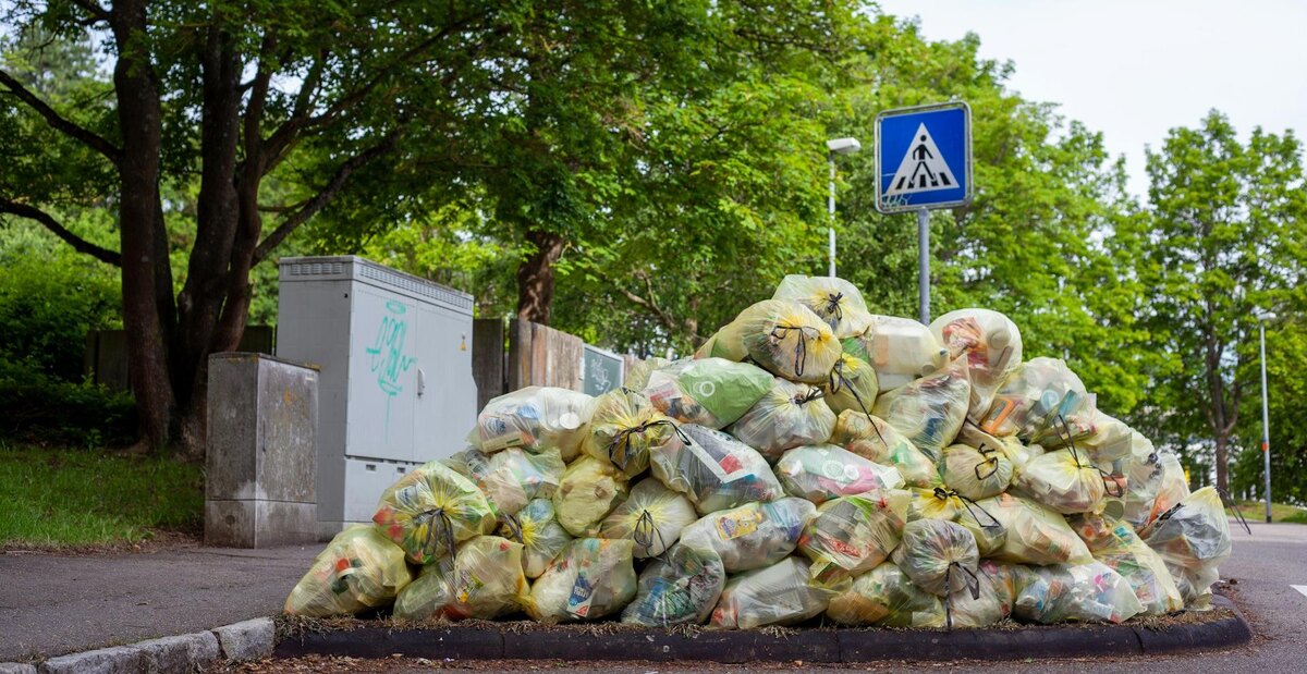 Фото: Jas Min / Unsplash