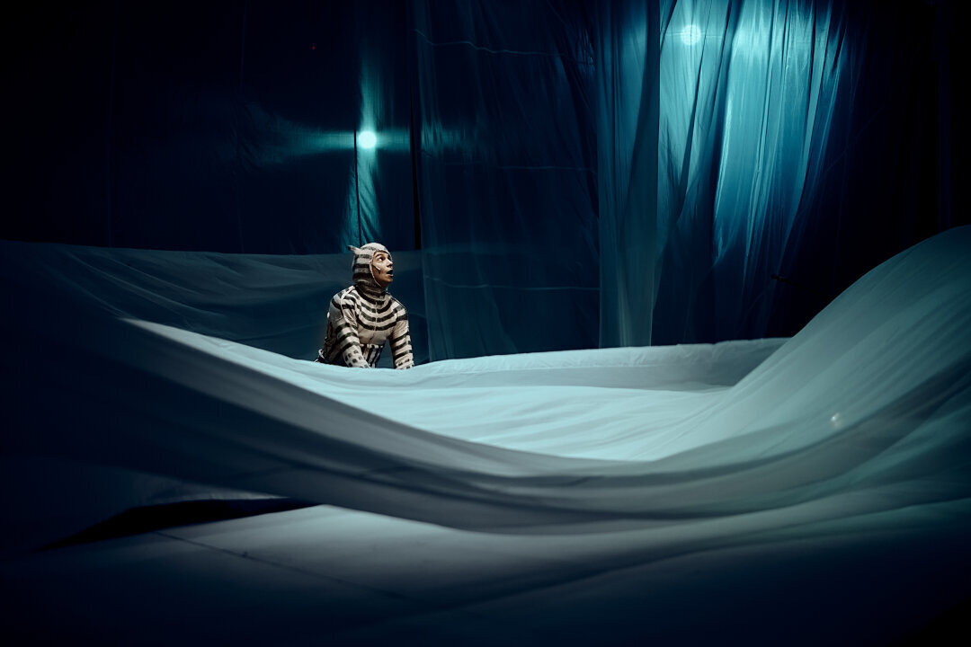    "Кит плывет на север" Фото: Изображение предоставлено Собака.ru пресс-службой «Театрального проекта 27»