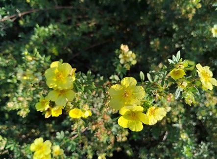 Фотография из личного архива автора