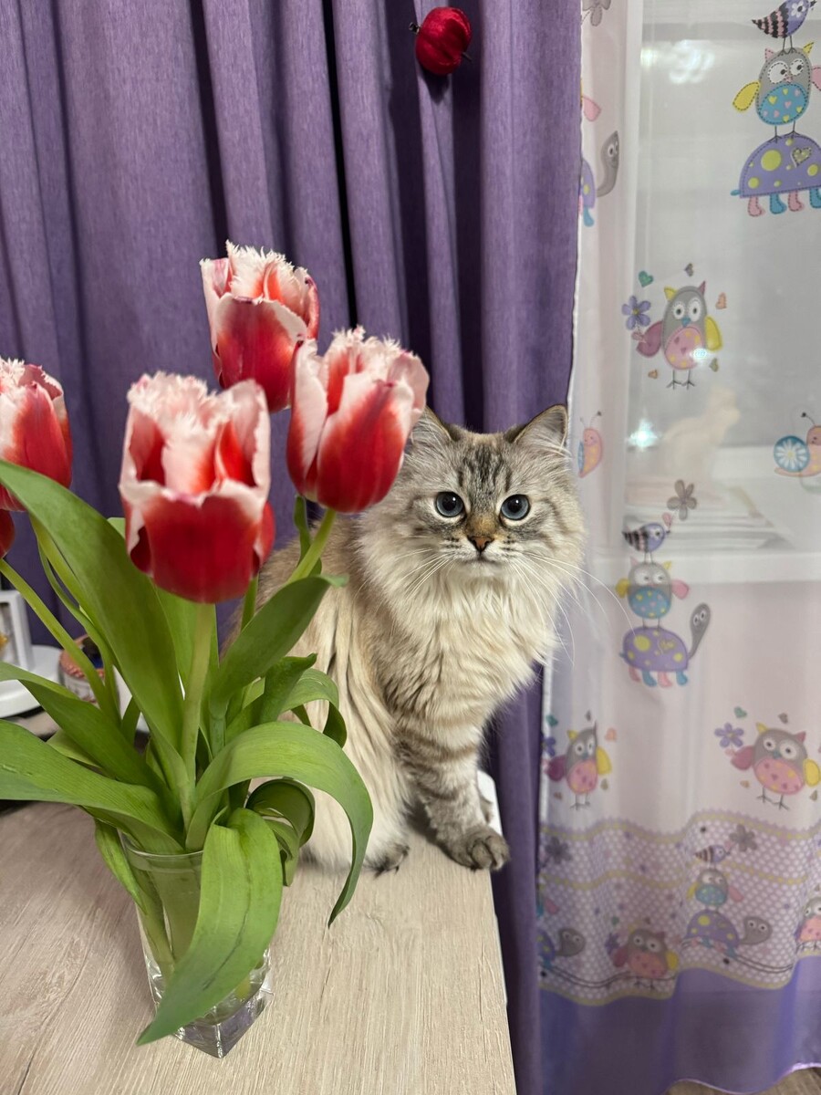 Куда же без цветов то)