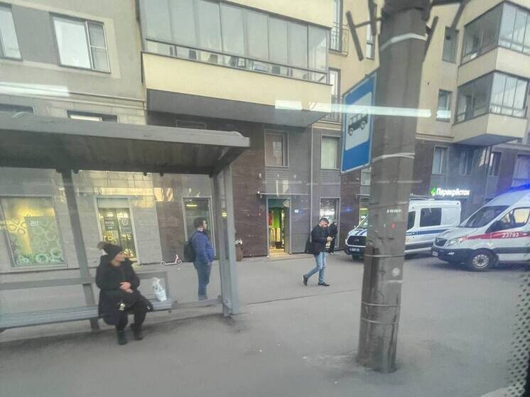     Фото: "МК в Питере"