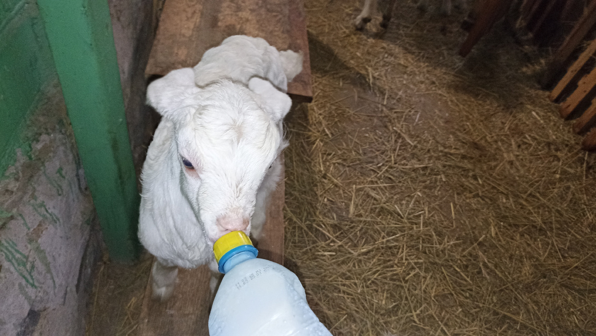 Утро у нас начинается так...