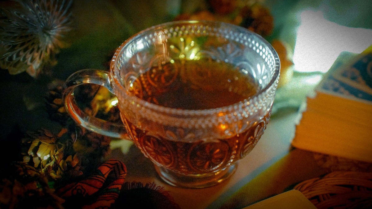 Светлана Мулыкина📷
