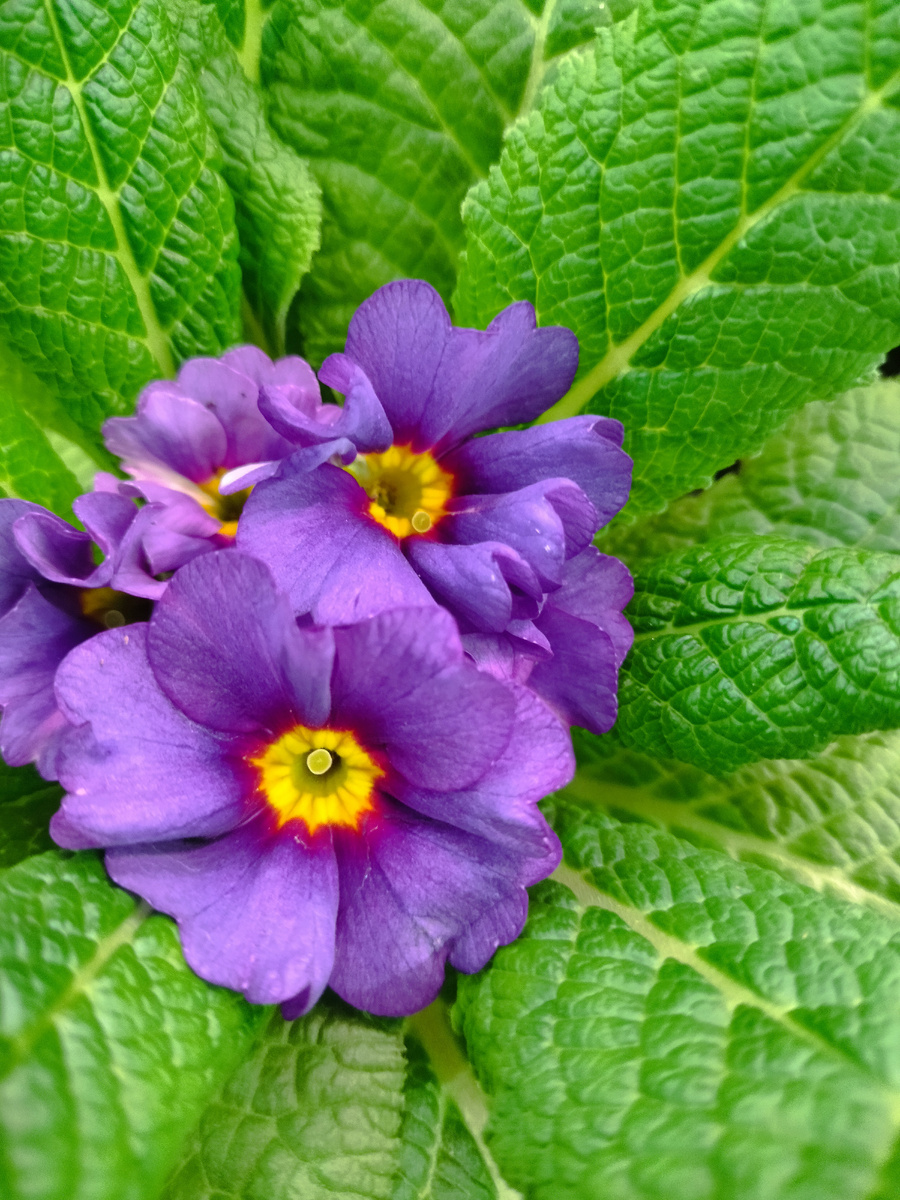 Картинка для красоты