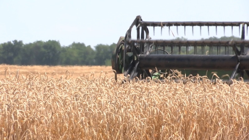    Фото: Царьград