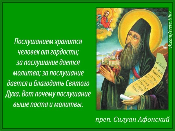 фото из открытого источника Яндекс. Картинки