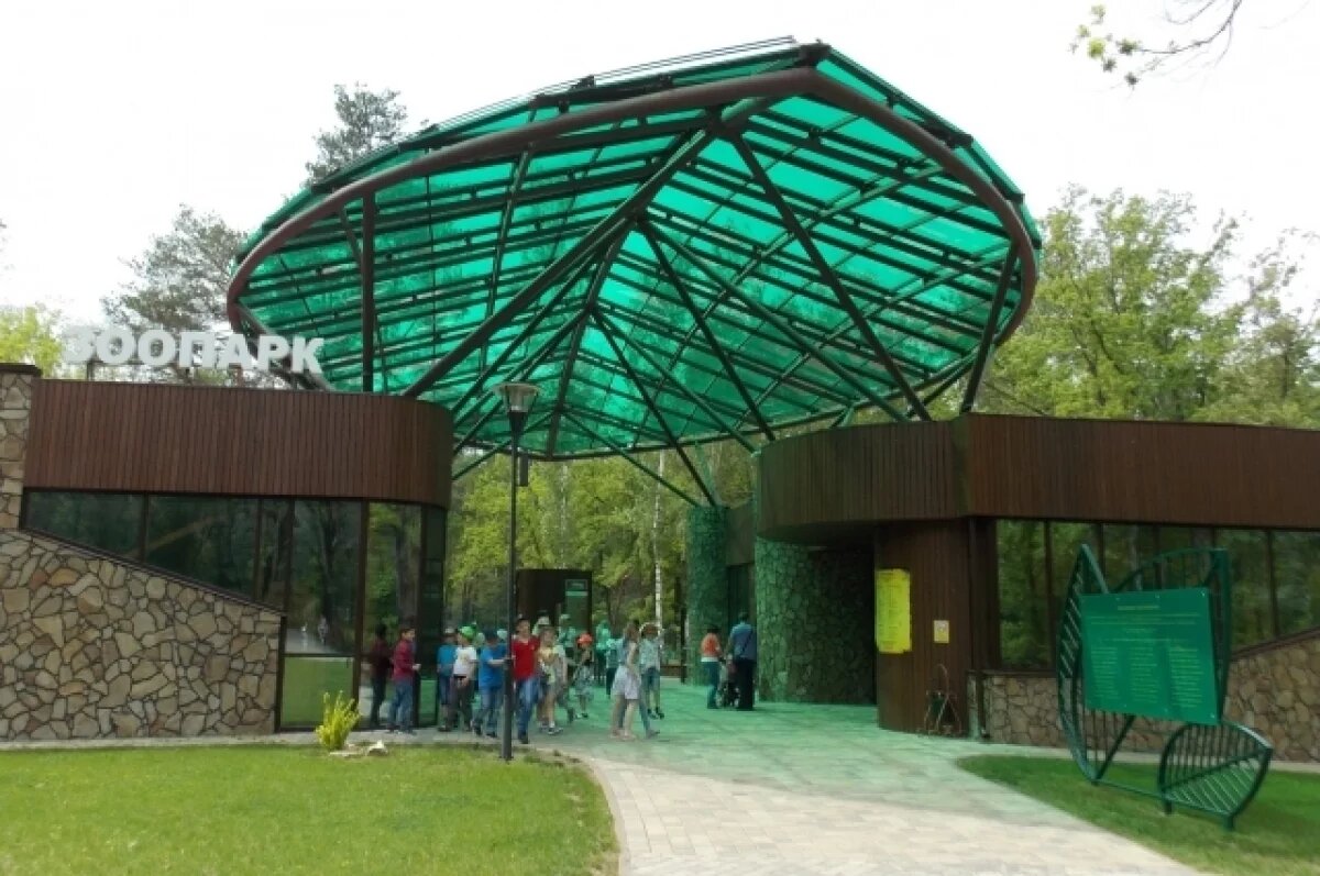    Дети из Красной Яруги смогут бесплатно побывать в белгородском зоопарке