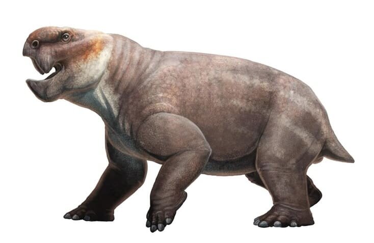 Ангонизавр. Другой арт от Габриэля Угуэто.