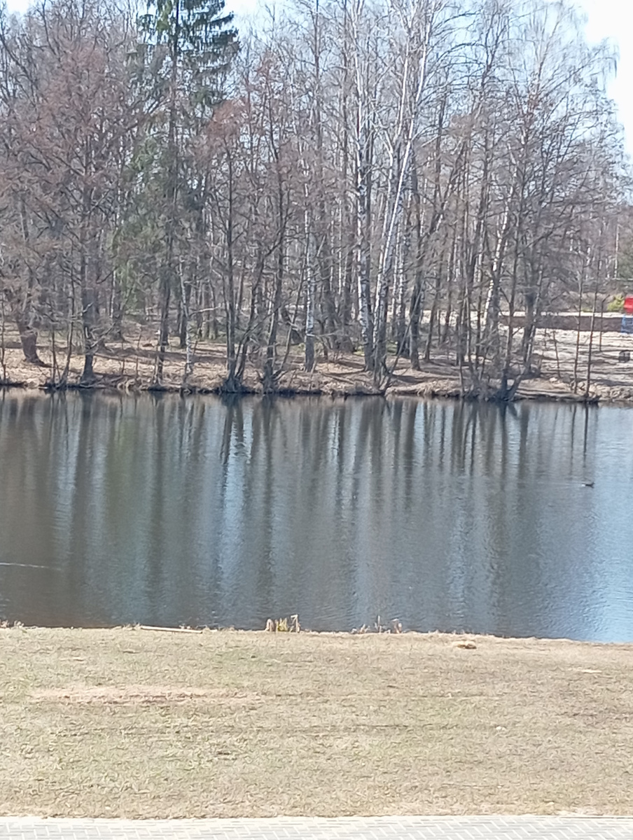 У нас весна! 