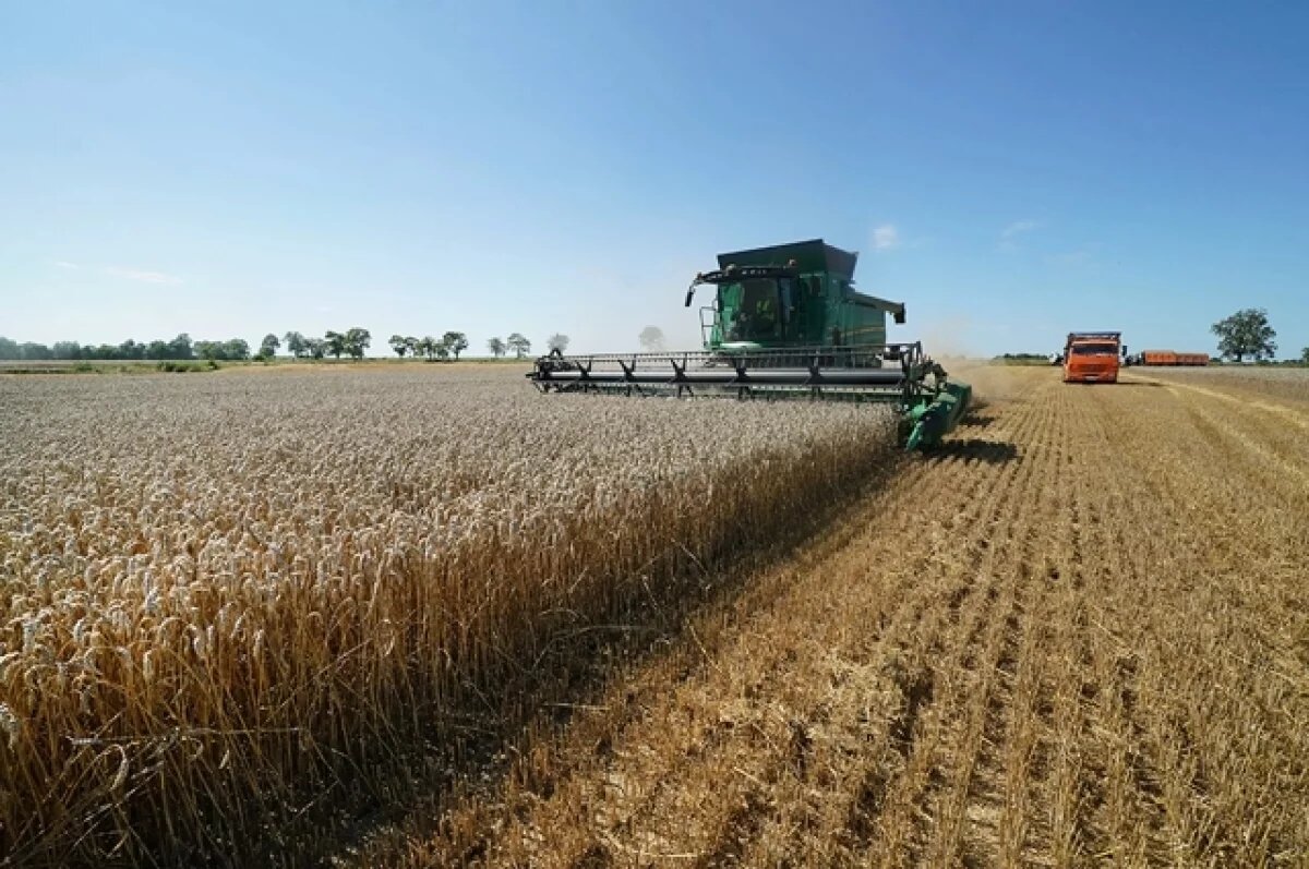    В регионе планируют засеять 73 тысячи га сельхозземель