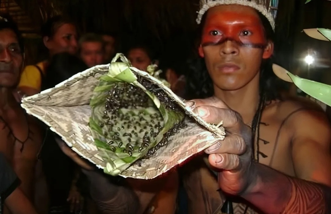 Инициация муравьями.