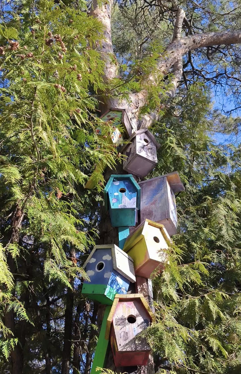 Все фотографии в статье авторские