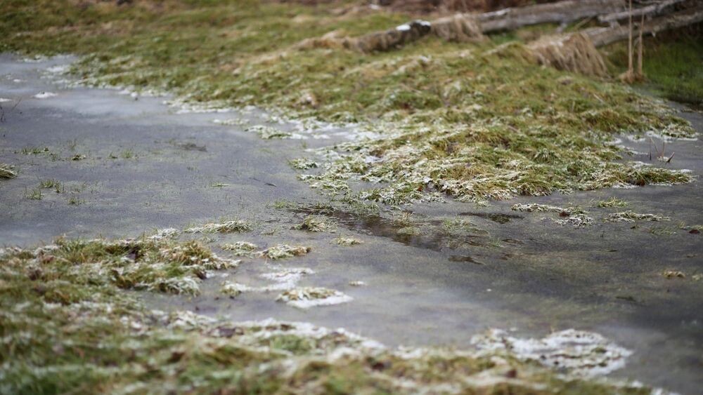    Фото: Ihor Matsiievskyi/Shutterstock/Fotodom