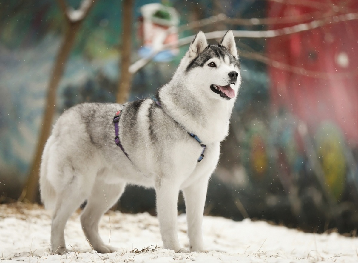 Можно листать ------->