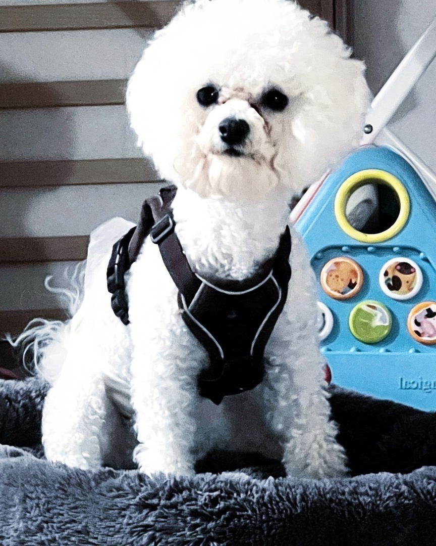 Можно листать ------->