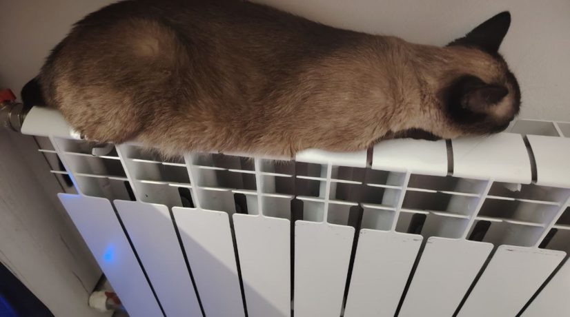 Фото: Радио Крым