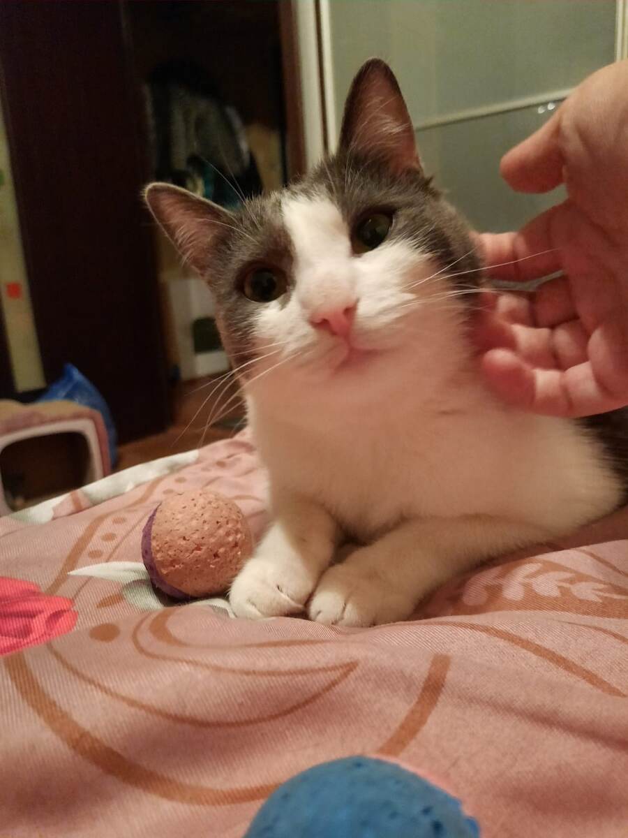 Да, щёчки выросли. И это хорошо))