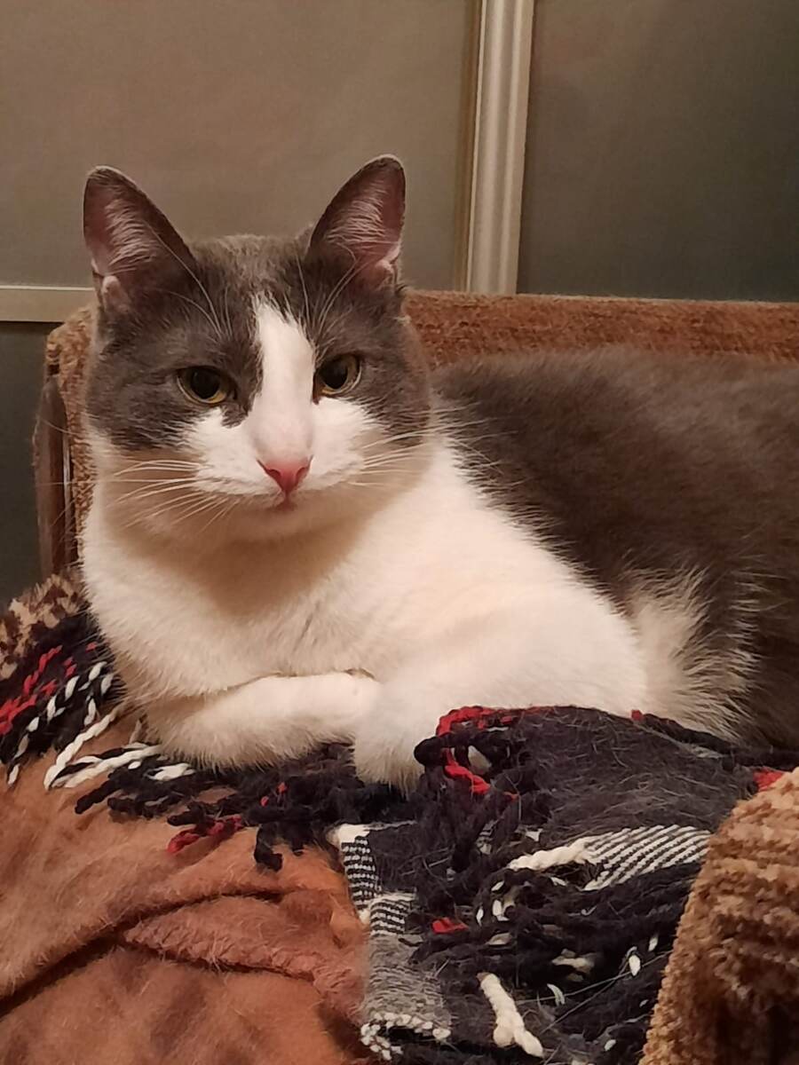 Ну, скажи ещё, что ты не узнал меня))