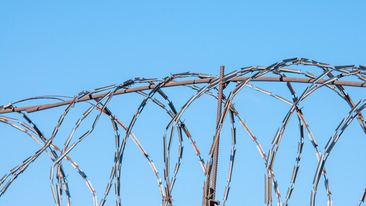 Фото: Svetlana Vozmilova/globallookpress.com