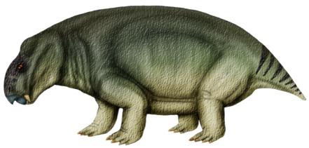 Аркатофор пнг иллюстрация.