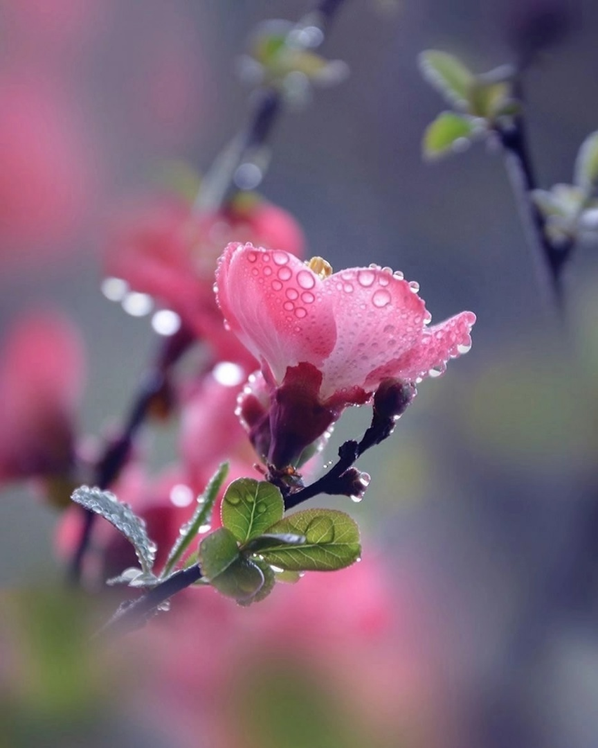 фото из открытых источников интернет