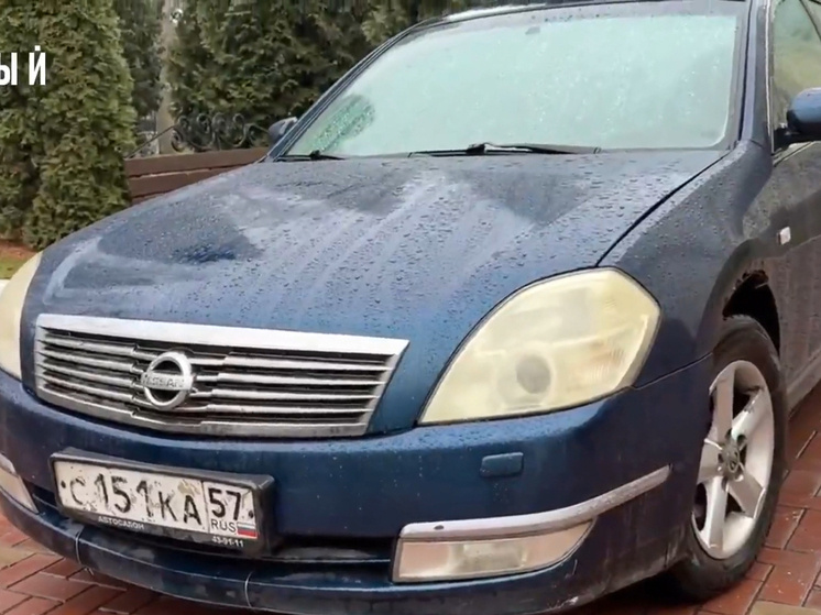     Фото: «народный фронт» орловской области