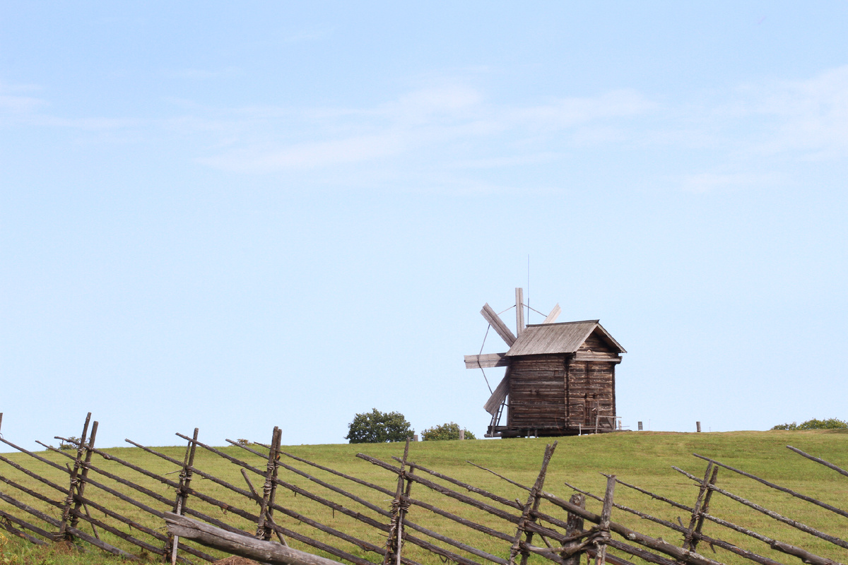 В последние годы генетические тесты, позволяющие интерпретировать геном человека, стали более доступны и популярны, запросы на проведение их возрасли.  Генетические тесты предоставляют информацию о предрасположенности к заболеваниям, особенностях обмена веществ, о происхождении, пищевых привычках, предрасположенностью к занятиям различными видами спорта. Однако при выборе данных тестов человек сталкивается с трудностями, в связи с большим разнообразием предлагаемых тестов. В этой публикации постараюсь рассмотреть основные виды генетических тестов, сравнить их и обсудить возможности применения.