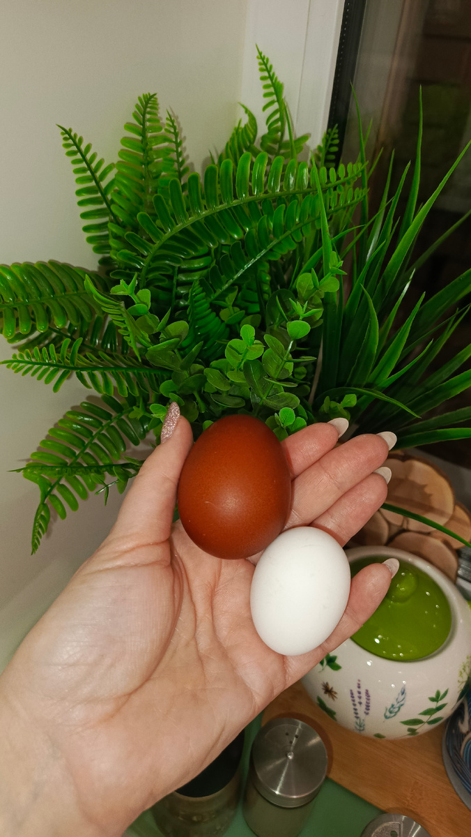 Самое темное и самое светлое яйцо.