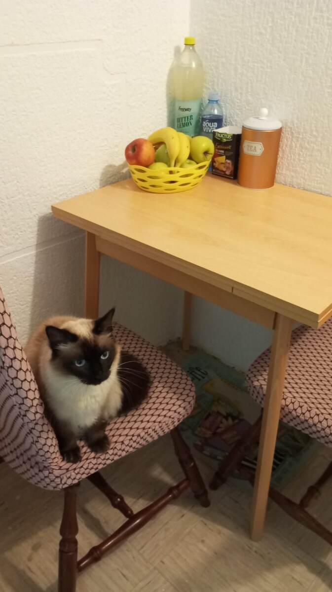 Фото прислал муж