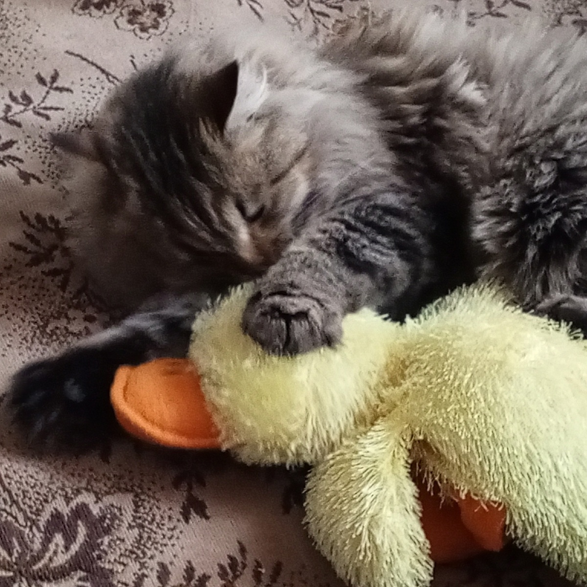 почти спит)