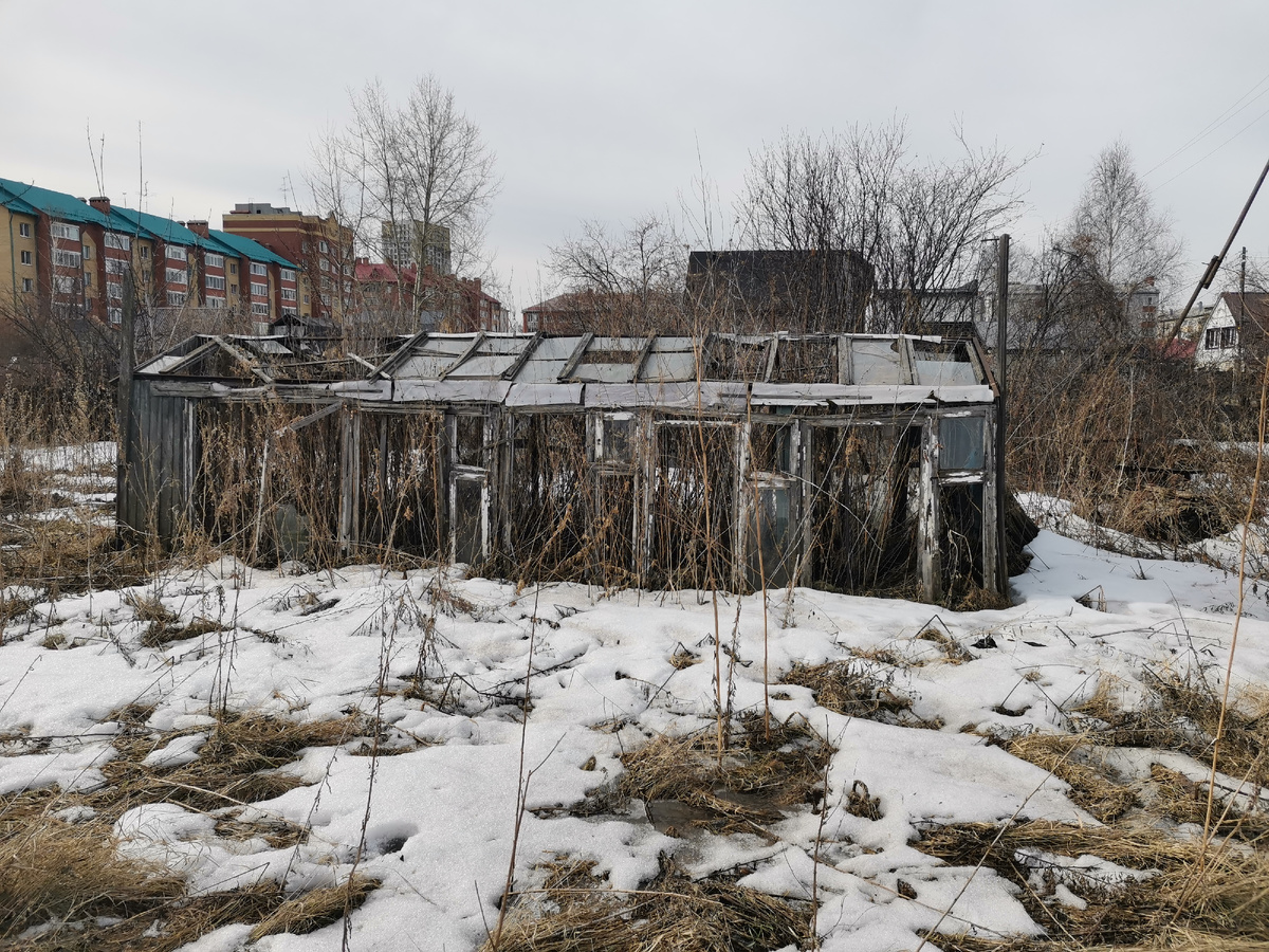 Тепличка. Когда-то во дворе видимо кипела жизнь.... 