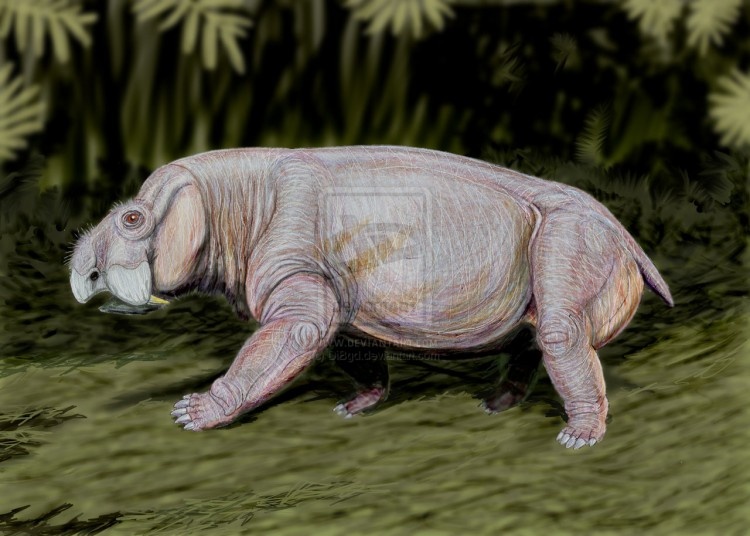 Параканнемейерия в естественной среде обитания. Художник – Дмитрий Богданов.